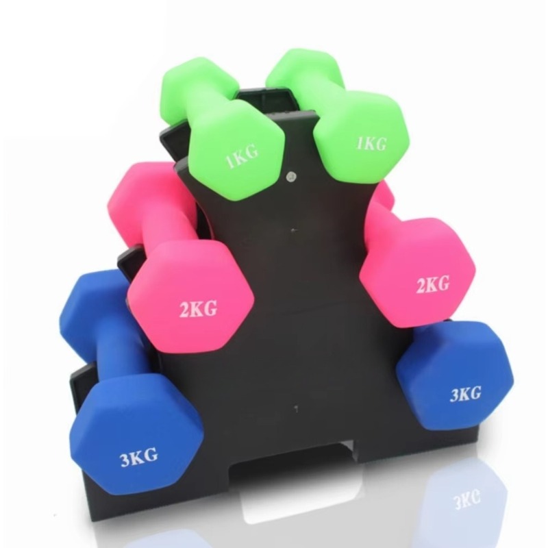 Support de rangement pour halt - Home Gym Weight avis et prix