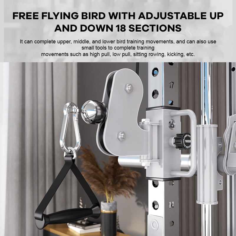 YTYIN Fournisseur d'usine Équi - Home Gym With Smith Machine avis et prix